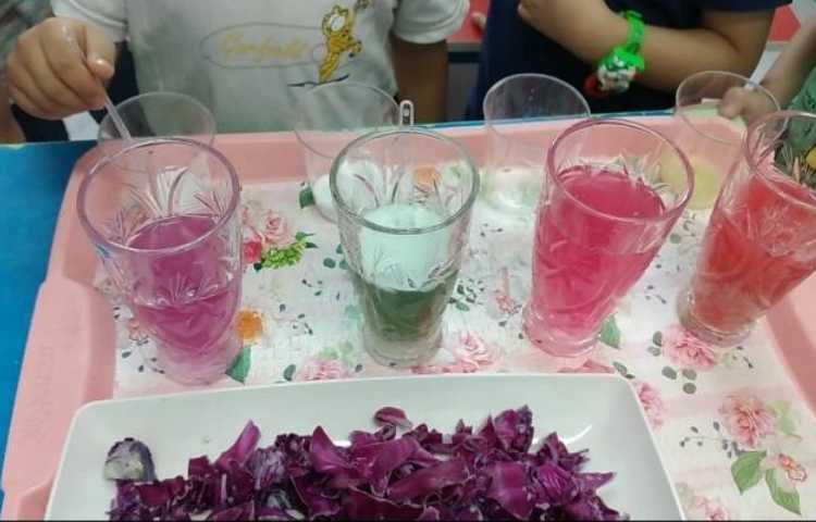 دانشمند کوچک 1