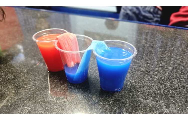 دانشمند کوچک 1