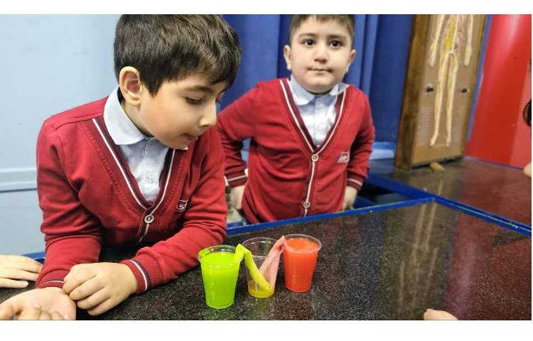 دانشمند کوچک 1