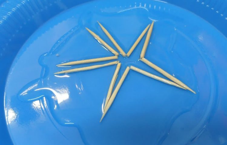 دانشمند کوچک 1