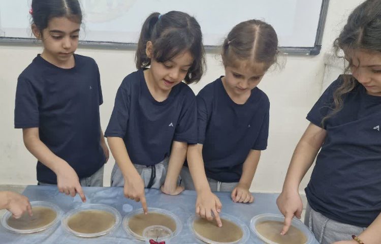 دانشمند کوچک 1