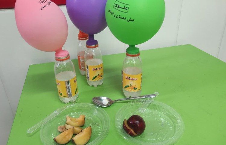 دانشمند کوچک 1