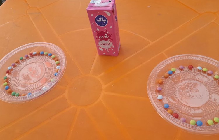 دانشمند کوچک 11