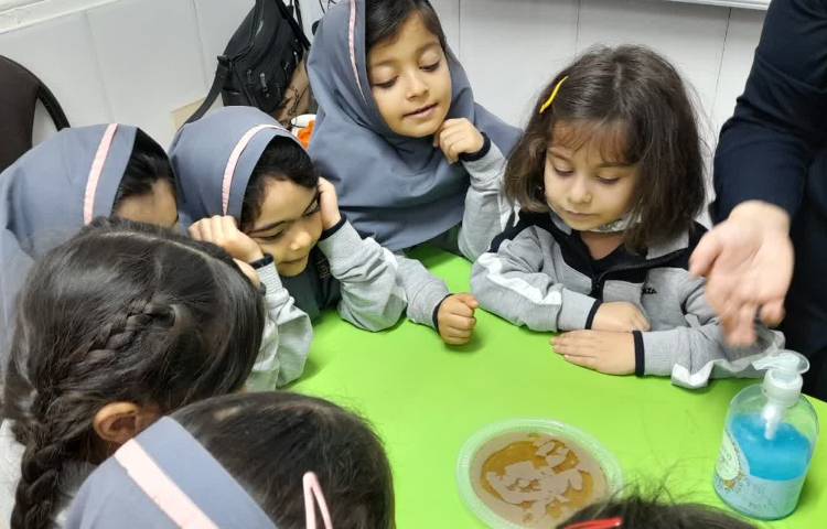 دانشمند کوچک 12