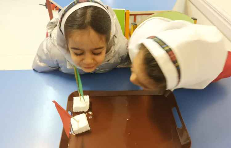 دانشمند کوچک 2