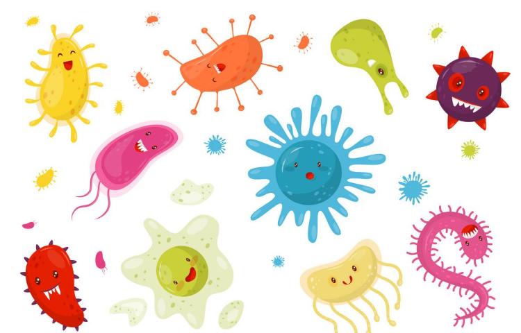 دانشمند کوچک 2