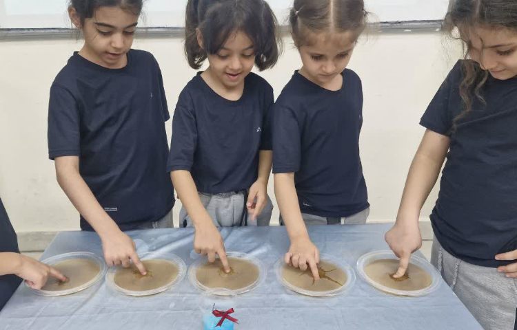 دانشمند کوچک 2