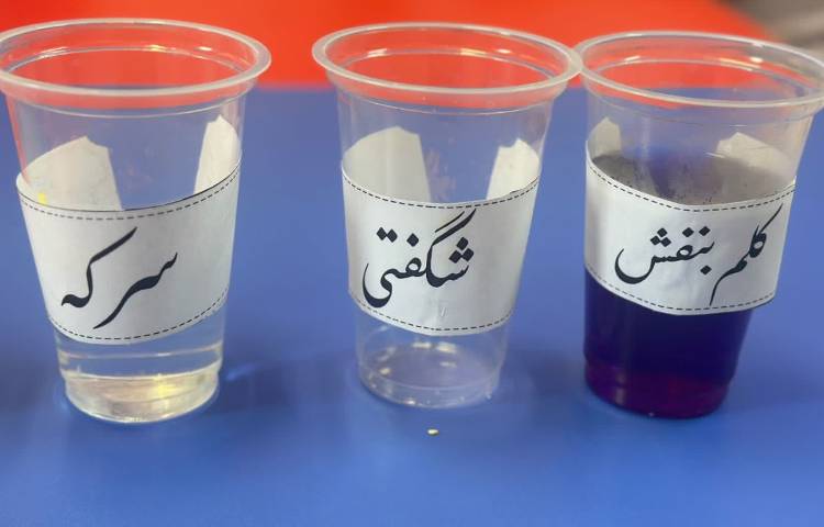 دانشمند کوچک 2
