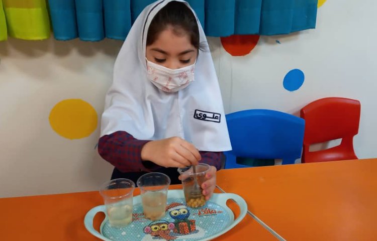 دانشمند کوچک 3