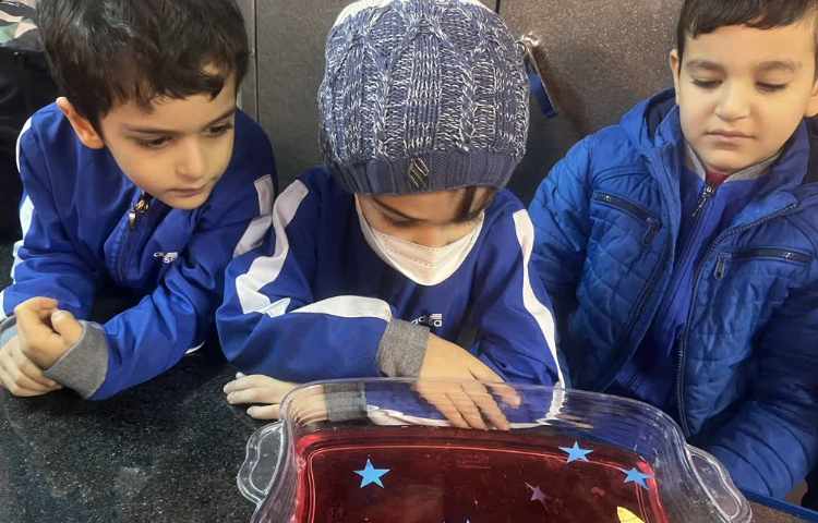 دانشمند کوچک 3