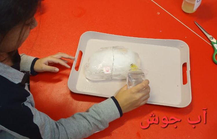 دانشمند کوچک 3