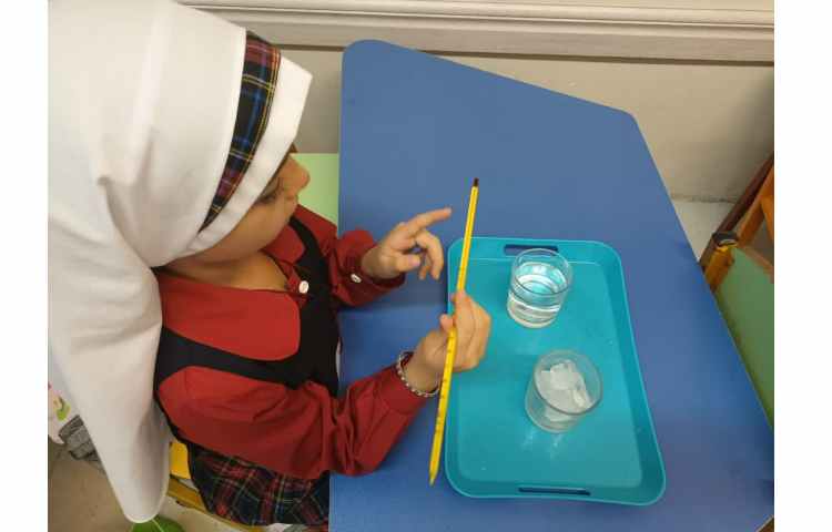 دانشمند کوچک 4