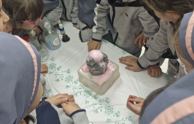 دانشمند کوچک 4