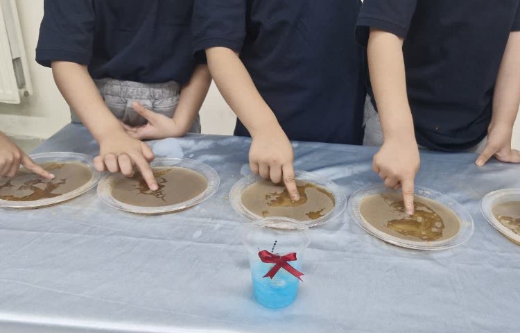 دانشمند کوچک 4