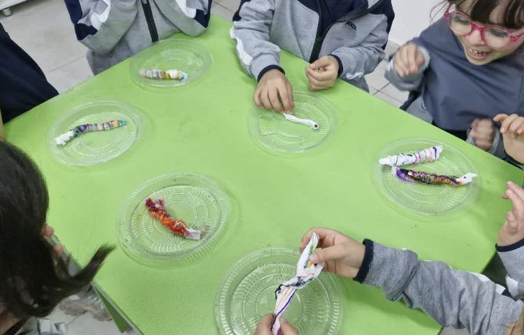 دانشمند کوچک 4