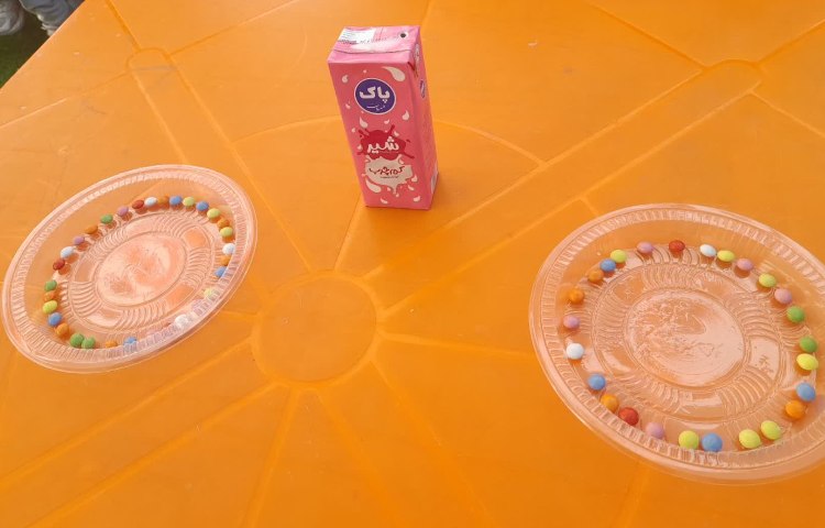 دانشمند کوچک 4