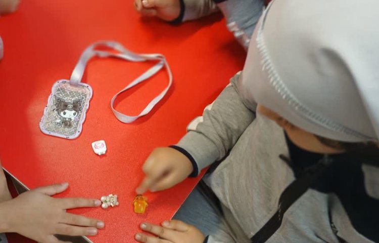 دانشمند کوچک 4