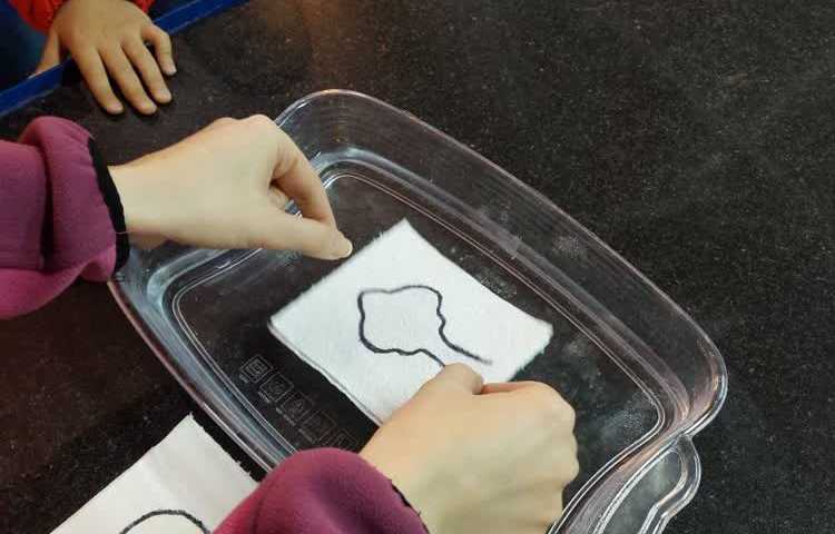 دانشمند کوچک 5