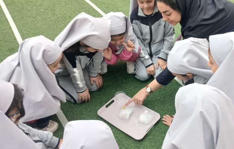 دانشمند کوچک 5