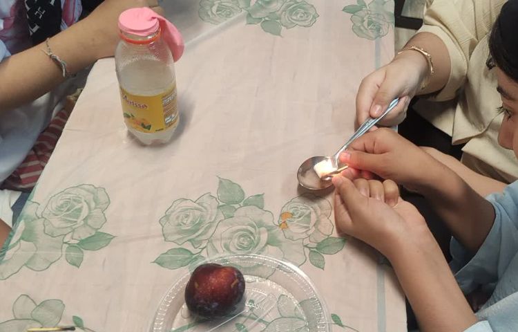 دانشمند کوچک 5