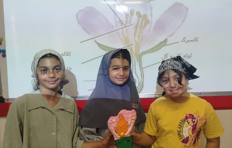 دانشمند کوچک 5