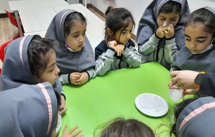 دانشمند کوچک 6