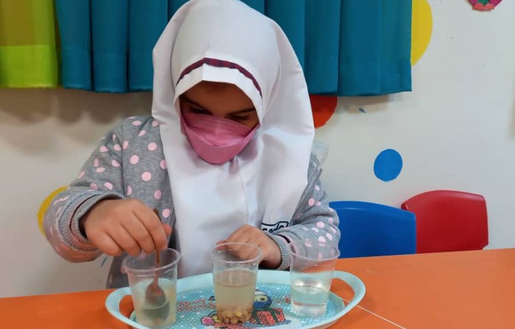 دانشمند کوچک