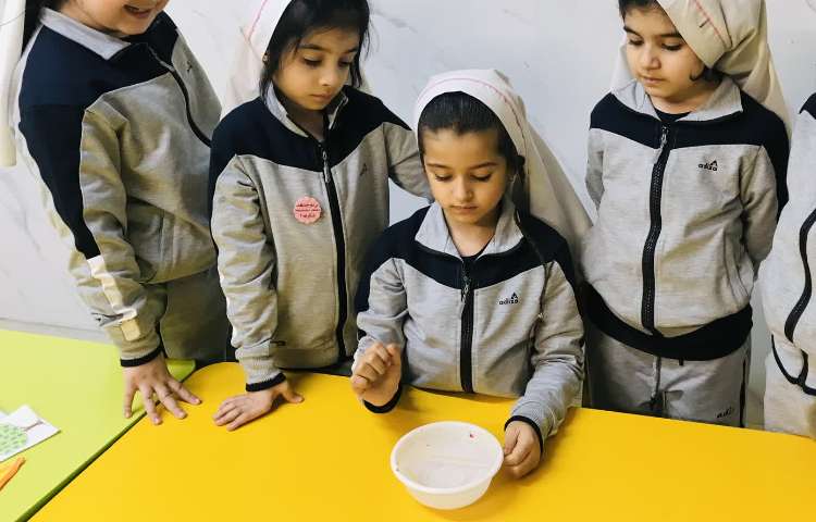 دانشمند کوچک