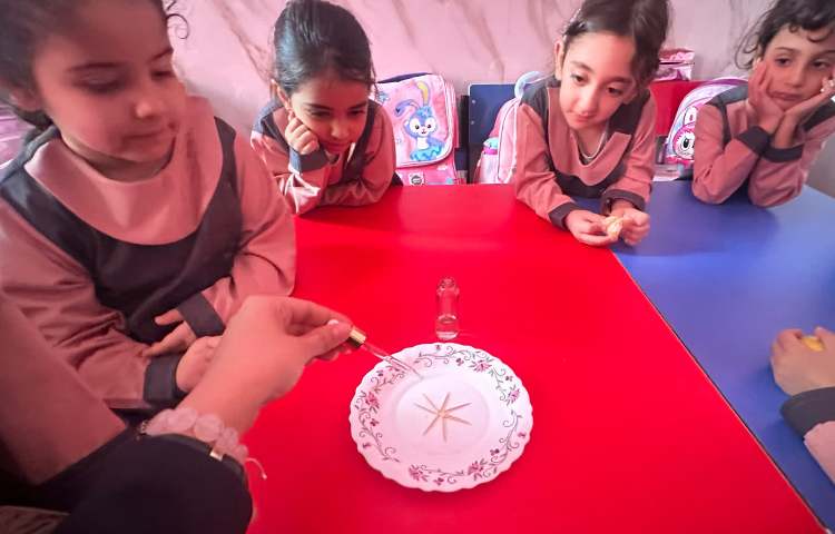 دانشمند کوچک