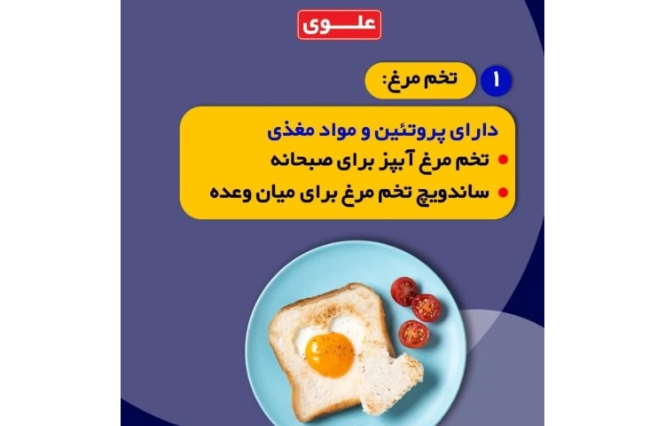 پژوهشگران 3