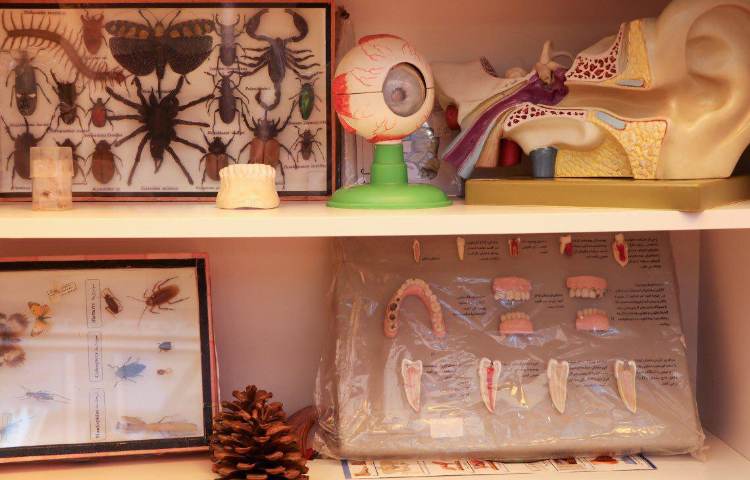 آزمایشگاه دبستان دخترانه گلباد تبریز