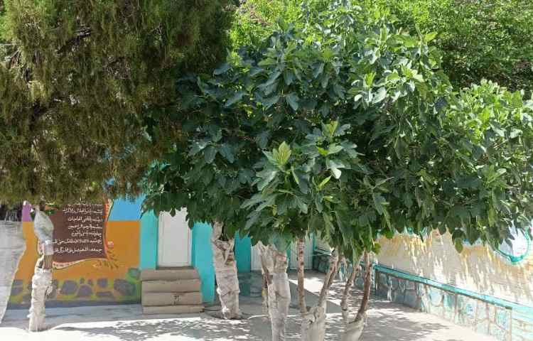 حیاط دبستان پسرانه باقرالعلوم گلپایگان