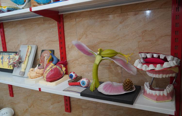 آزمایشگاه دبستان پسرانه پیشگامان دو قائم شهر