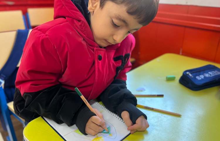 درخت کاج وریسه رنگی بادایره ومثلث 6