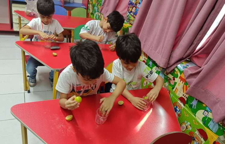 درست کردن شربت آب‌لیمو 2