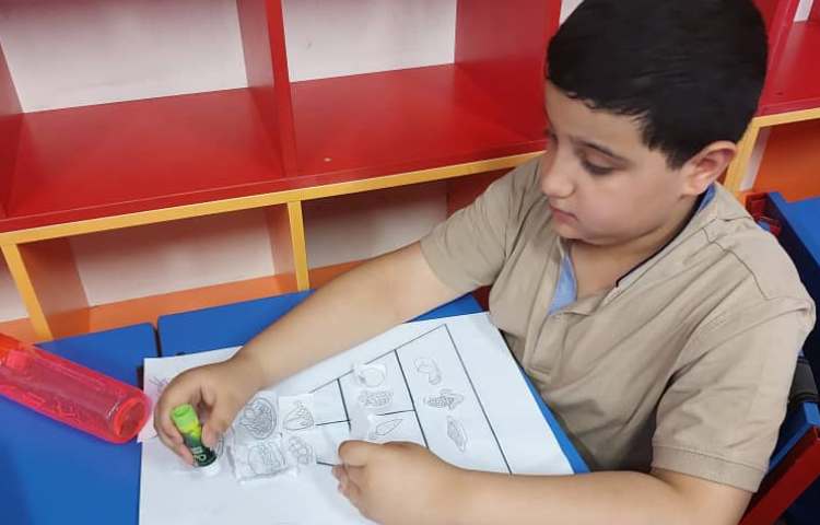 درست کردن هرم غذایی 4