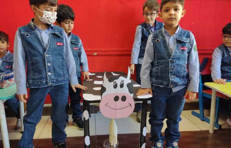 درست کردن گاو با استفاده از میز مربوط به درس مفید بودن حیوانات اهلی به همراه دوشیدن شیر 2