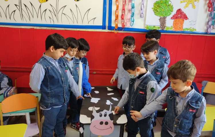 درست کردن گاو با استفاده از میز مربوط به درس مفید بودن حیوانات اهلی به همراه دوشیدن شیر 6