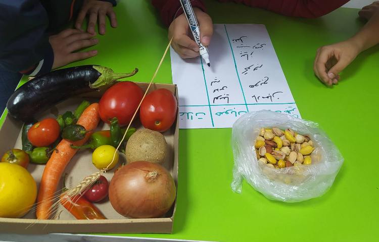 درس اجتماعی تشخیص محصولات زراعی و جالیزی و غلات 3