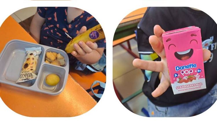 :درس دانشمند کوچک با موضوع خوراکی های سالم و ناسالم 5