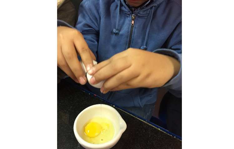 درس دوم علوم تغییرات فیزیکی و شیمیایی 5