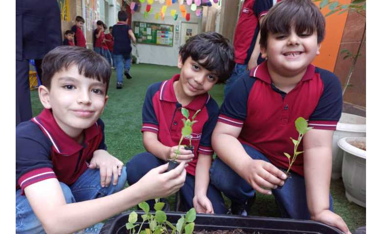 درس رشد گیاهان پایه دوم کاشت نشا گیاهان 10