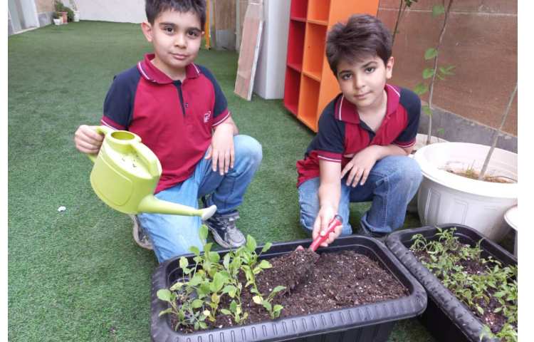 درس رشد گیاهان پایه دوم کاشت نشا گیاهان 11