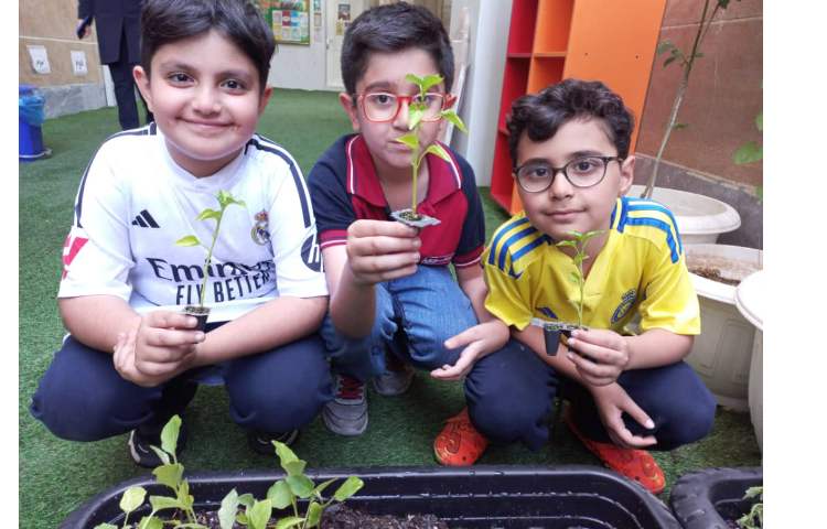 درس رشد گیاهان پایه دوم کاشت نشا گیاهان 14