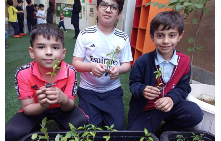 درس رشد گیاهان پایه دوم کاشت نشا گیاهان 3