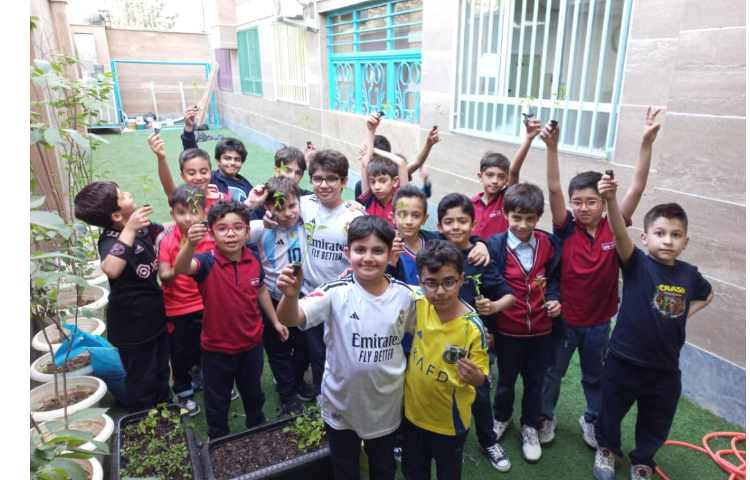 درس رشد گیاهان پایه دوم کاشت نشا گیاهان 4