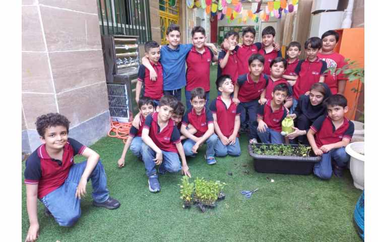 درس رشد گیاهان پایه دوم کاشت نشا گیاهان 5
