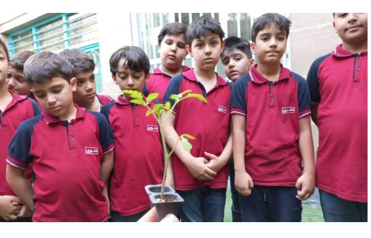 درس رشد گیاهان پایه دوم کاشت نشا گیاهان 6