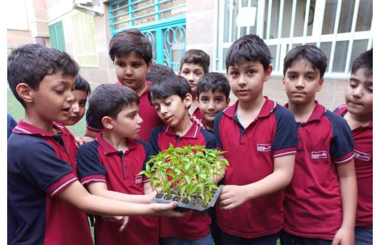 درس رشد گیاهان پایه دوم کاشت نشا گیاهان 7