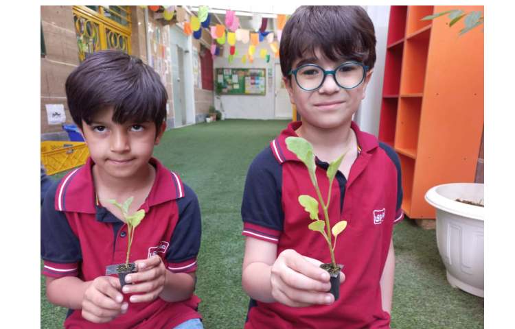 درس رشد گیاهان پایه دوم کاشت نشا گیاهان 9